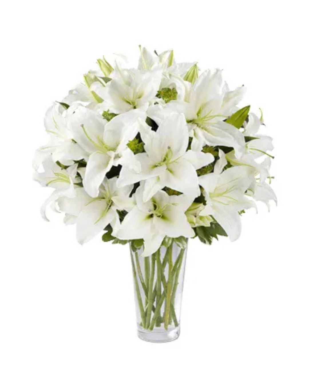 Buket Lily Putih